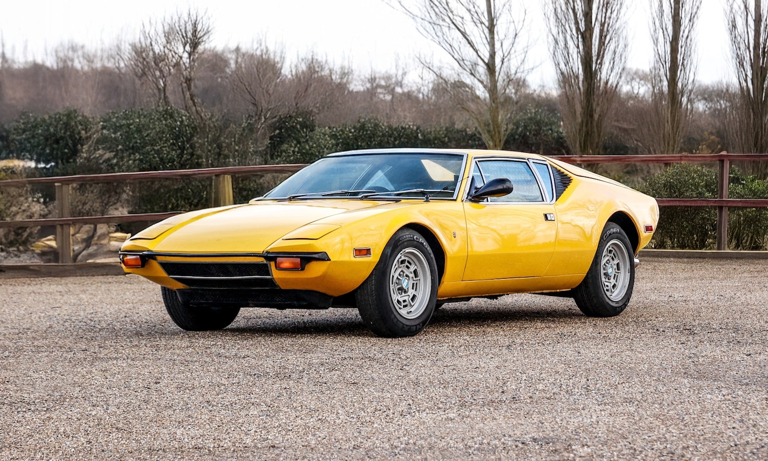 Used De Tomaso Pantera 2025 for sale - 77579234: Photo 1