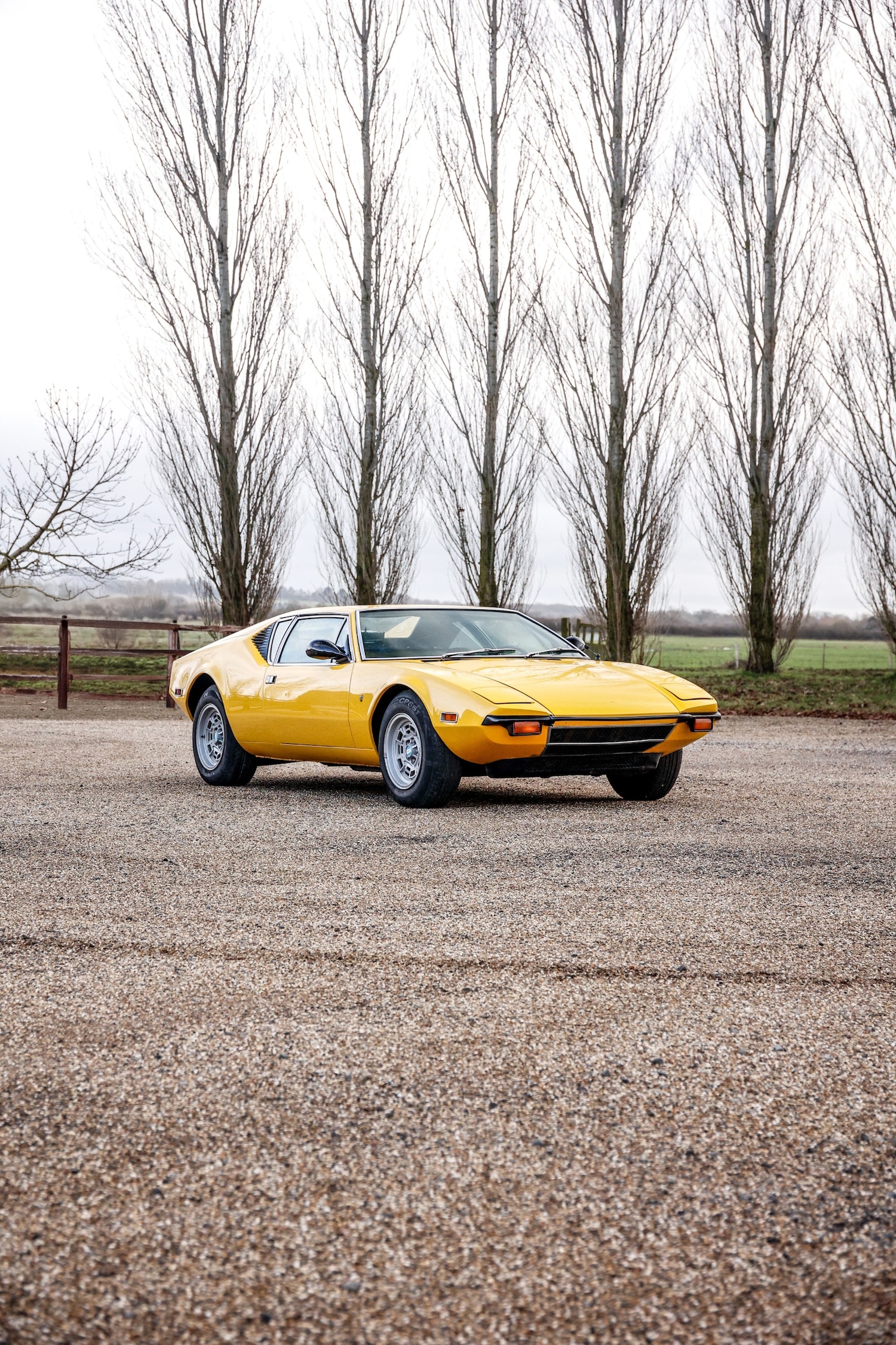 Used De Tomaso Pantera 2025 for sale - 77579234: Photo 11