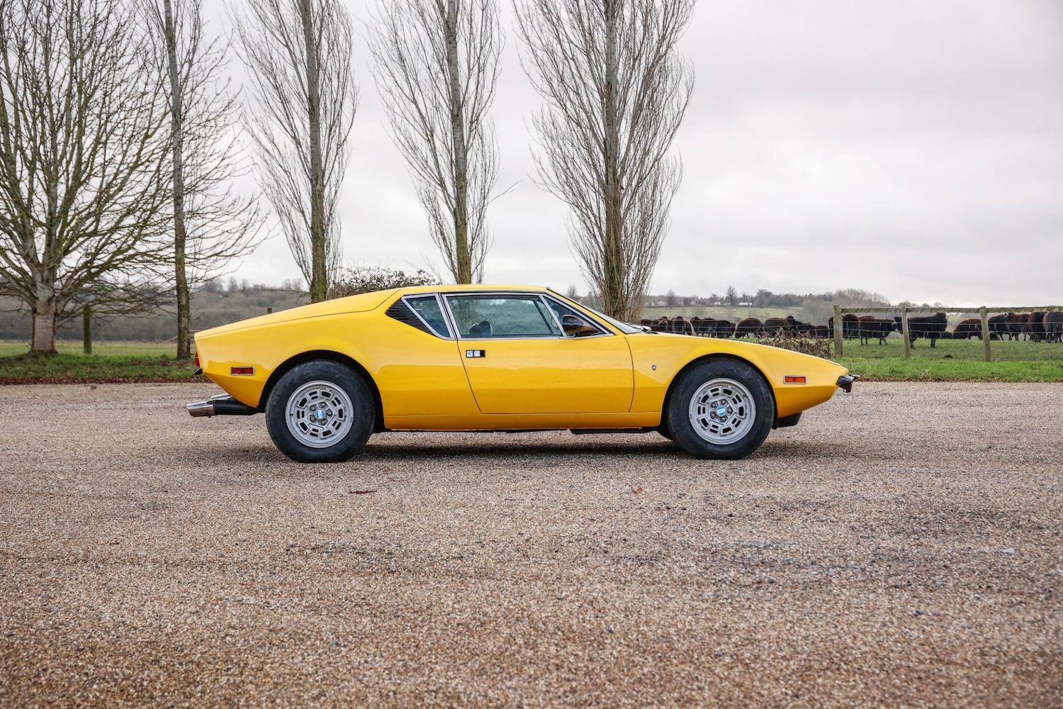 Used De Tomaso Pantera 2025 for sale - 77579234: Photo 12