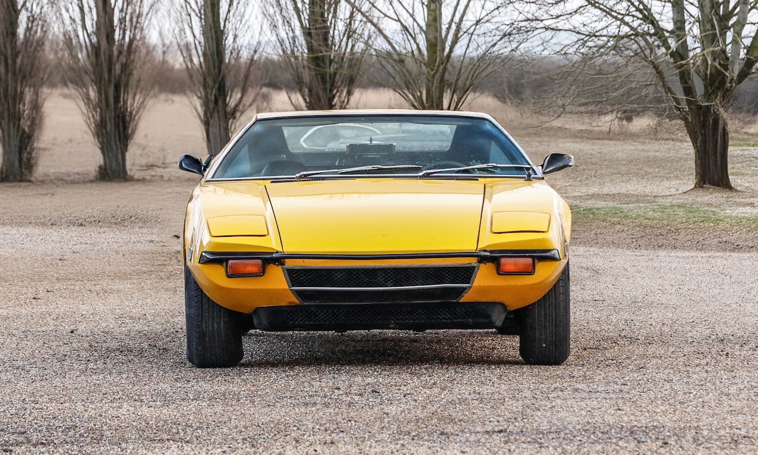Used De Tomaso Pantera 2025 for sale - 77579234: Photo 6