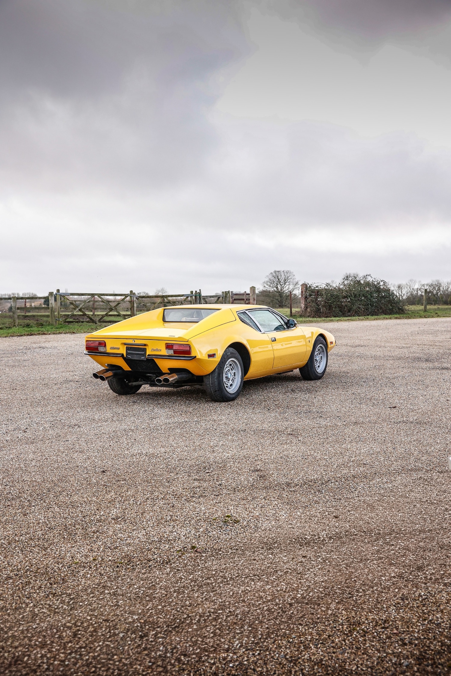 Used De Tomaso Pantera 2025 for sale - 77579234: Photo 8