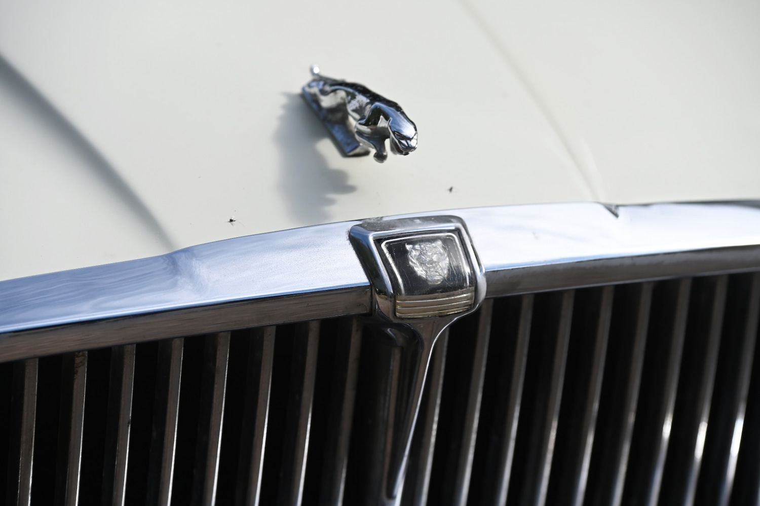 Used Jaguar 420 1978 for sale - 77432582: Photo 16