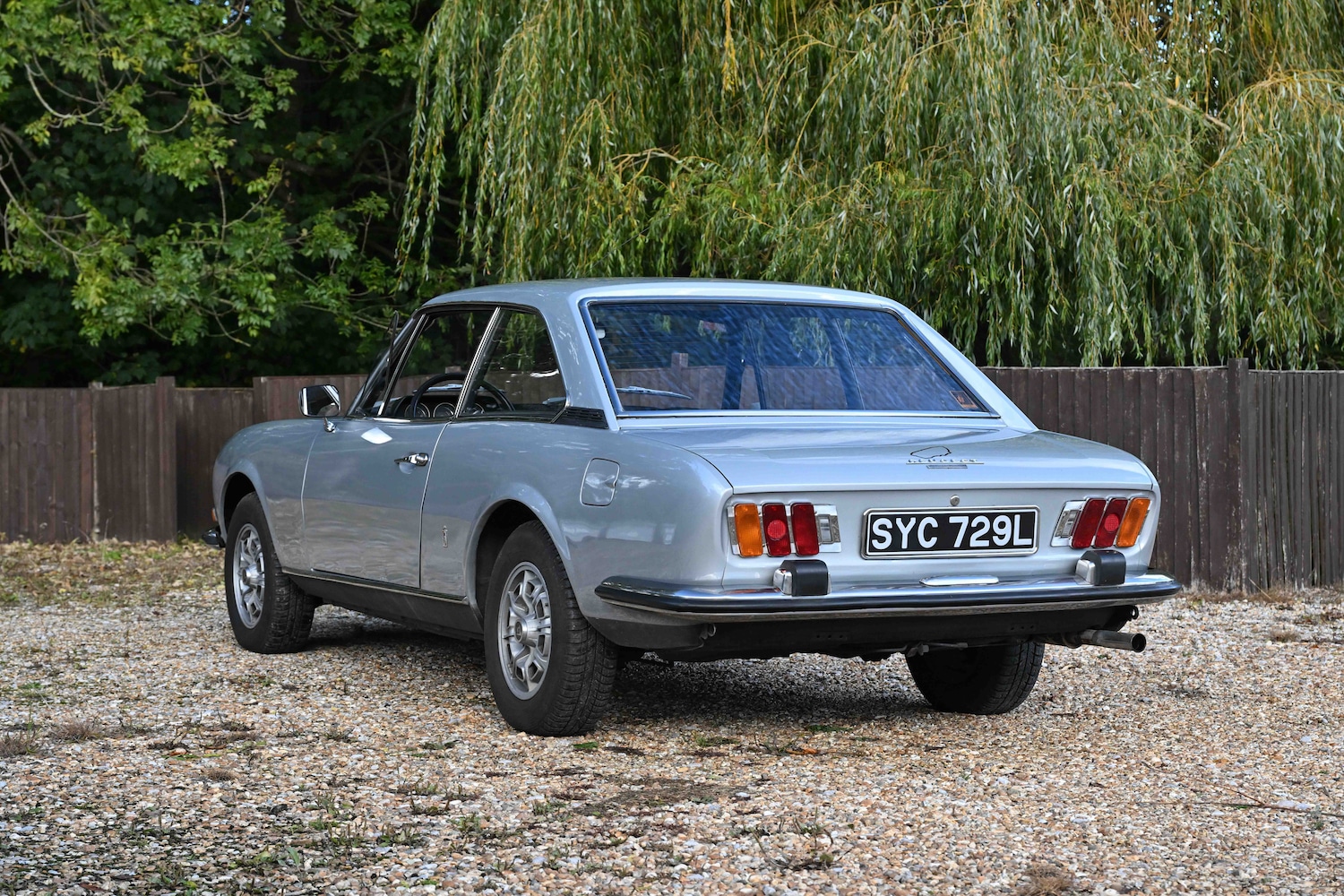 Used Peugeot 504 2021 for sale - 76426805: Photo 3