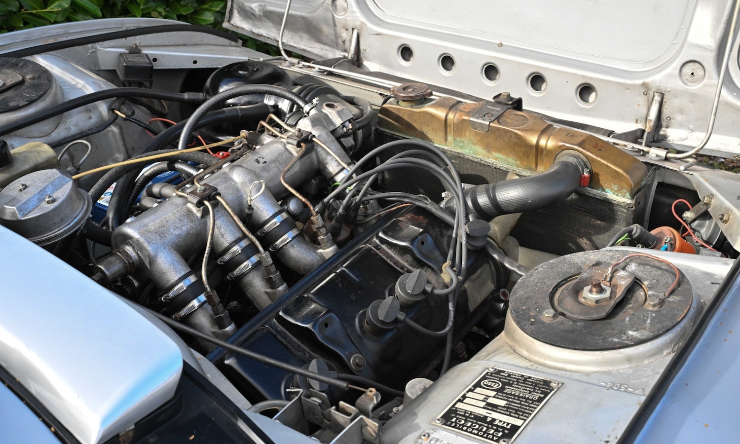 Used Peugeot 504 2021 for sale - 76426805: Photo 5