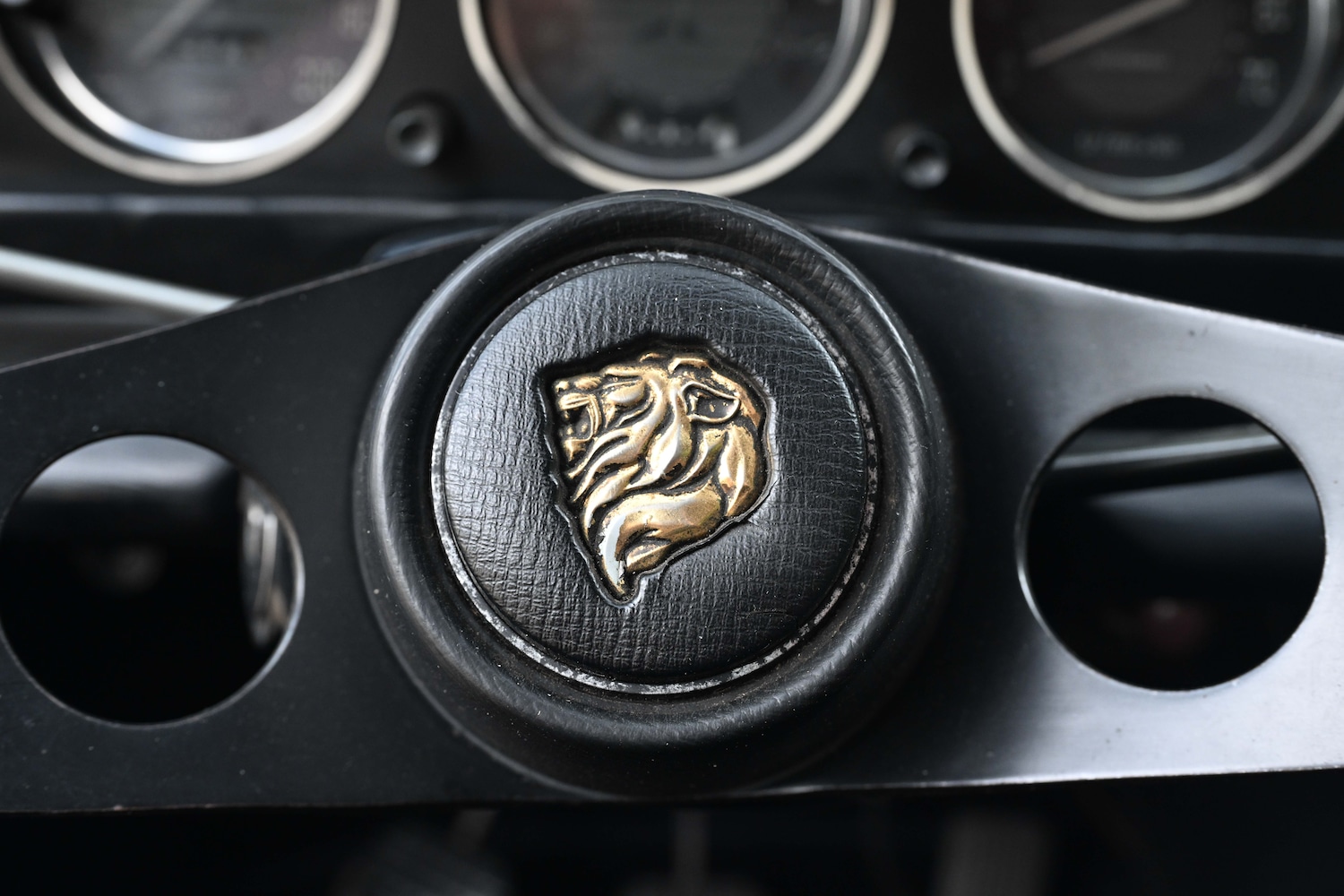 Used Peugeot 504 2021 for sale - 76426805: Photo 57