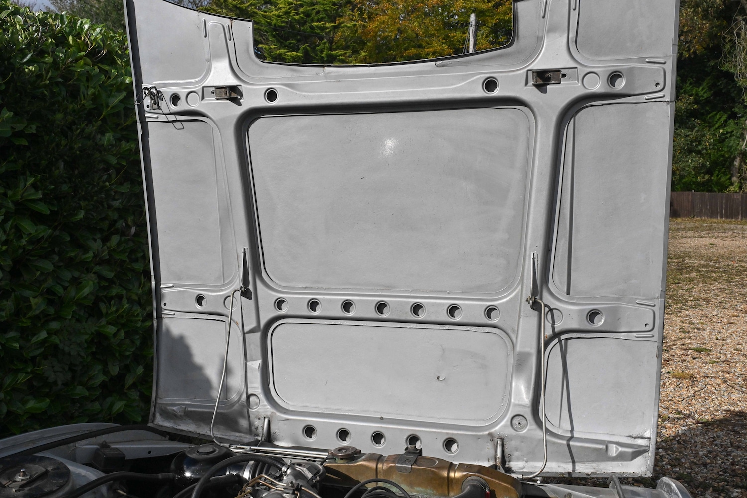 Used Peugeot 504 2021 for sale - 76426805: Photo 67