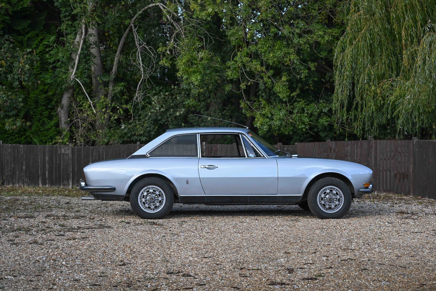 Used Peugeot 504 2021 for sale - 76426805: Photo 7