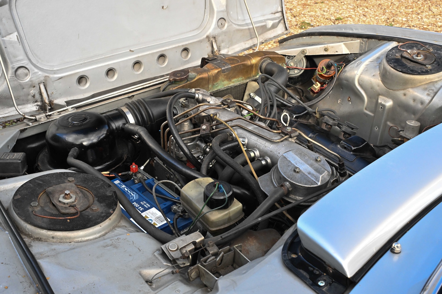 Used Peugeot 504 2021 for sale - 76426805: Photo 70