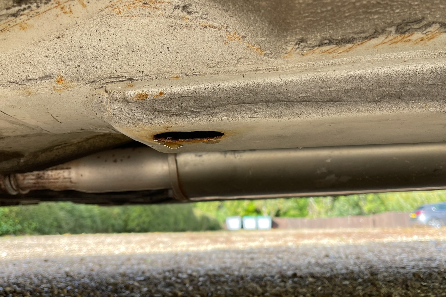 Used Peugeot 504 2021 for sale - 76426805: Photo 89