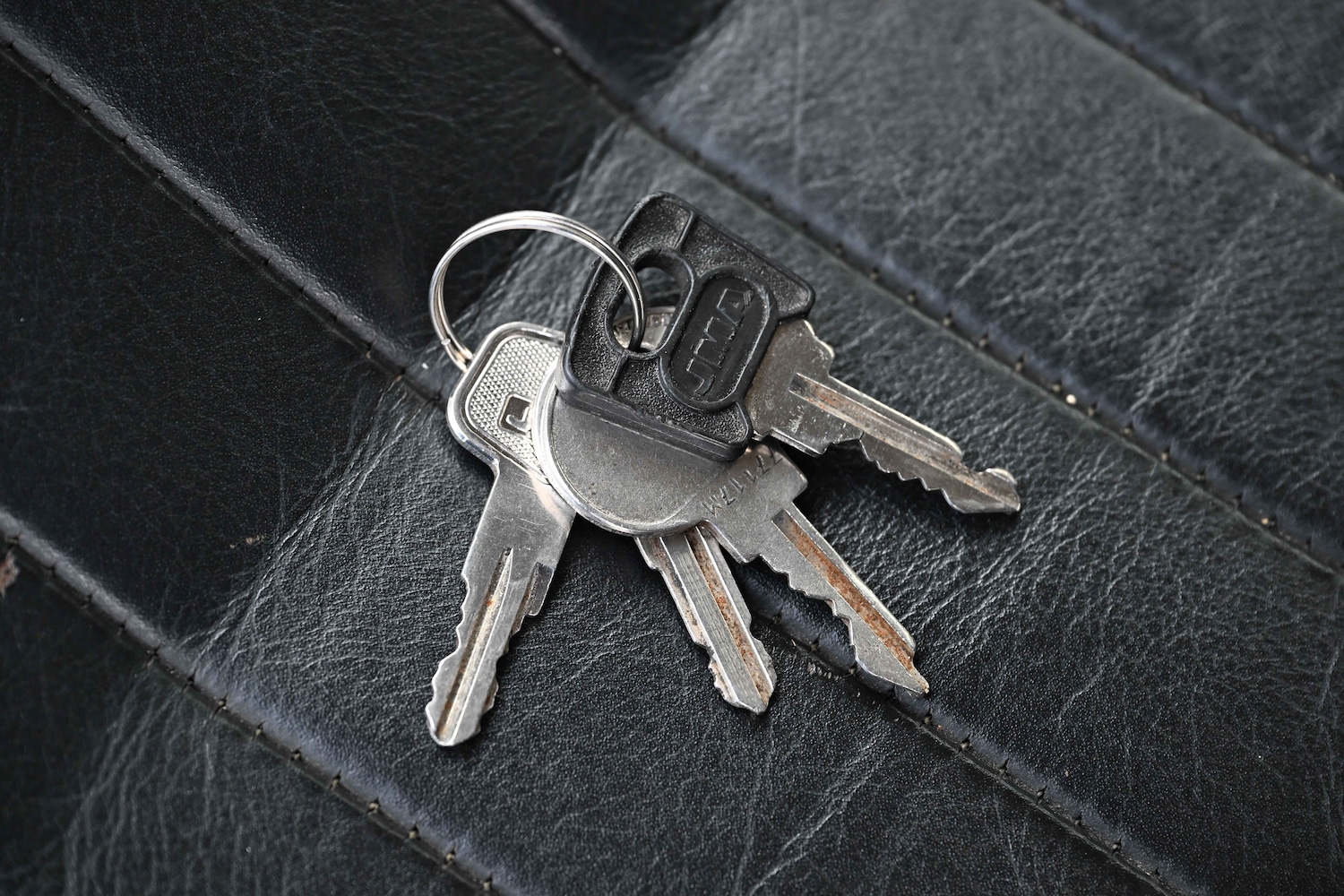 Used Peugeot 504 2021 for sale - 76426805: Photo 91