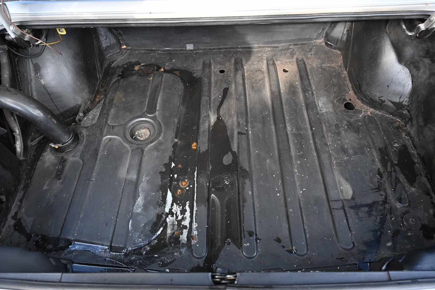 Used Peugeot 504 2021 for sale - 76426805: Photo 92