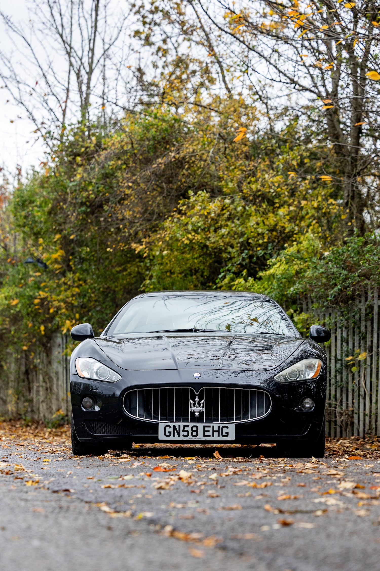 Used Maserati Granturismo 2008 for sale - 76477033: Photo 11