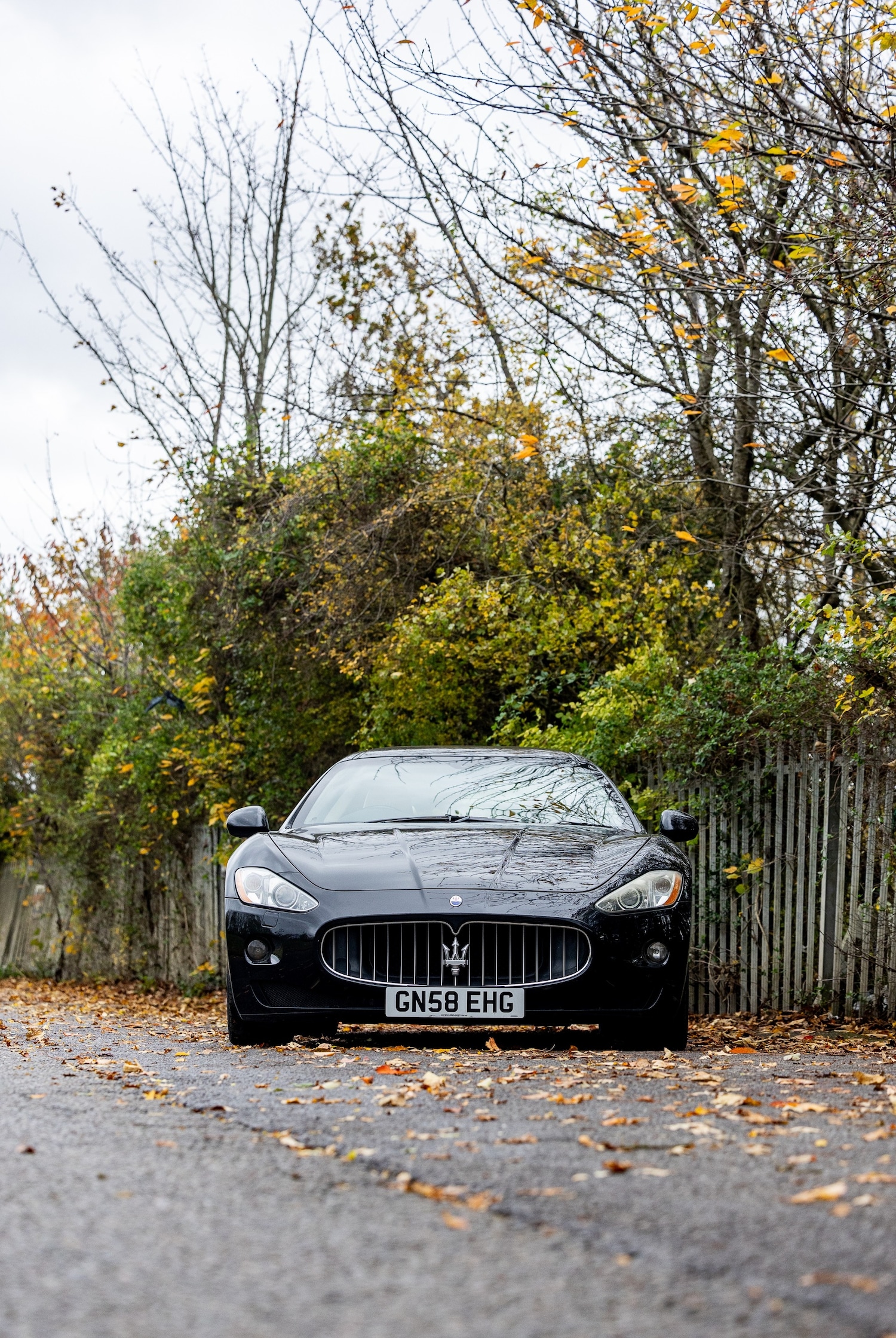 Used Maserati Granturismo 2008 for sale - 76477033: Photo 36