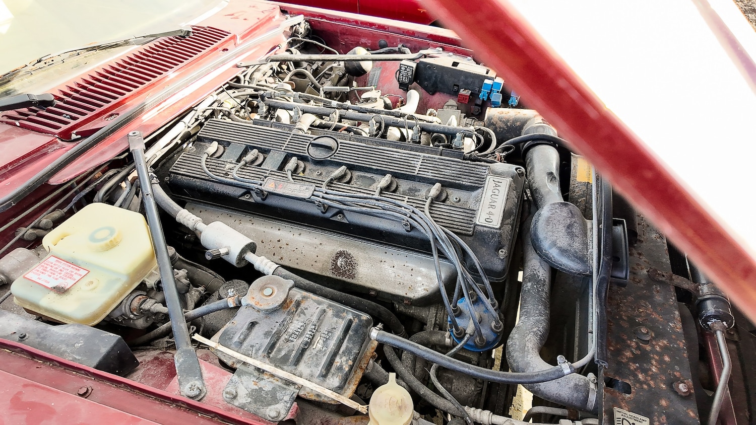 Used Jaguar XJS 1994 for sale - 77579769: Photo 17