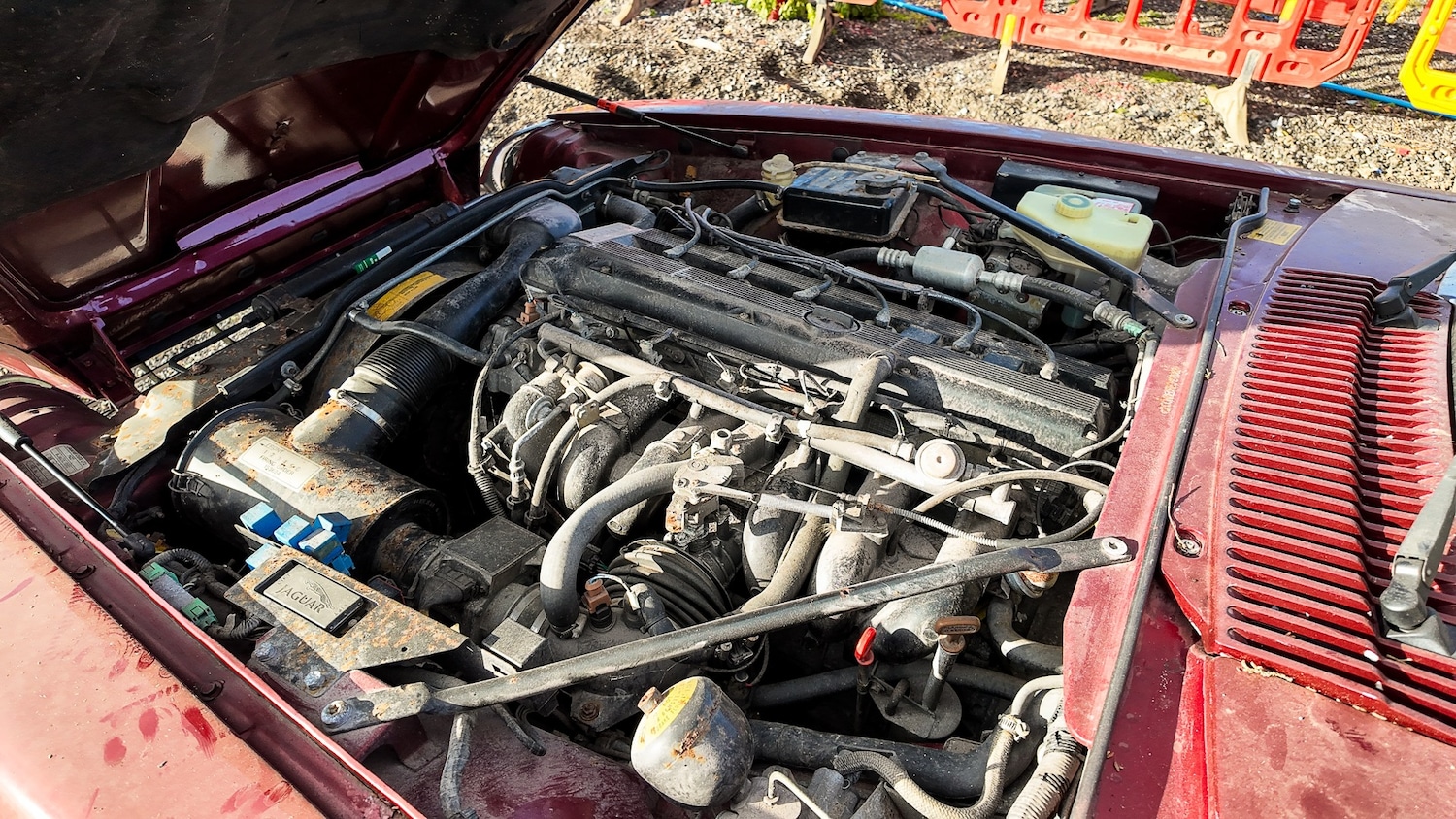 Used Jaguar XJS 1994 for sale - 77579769: Photo 19