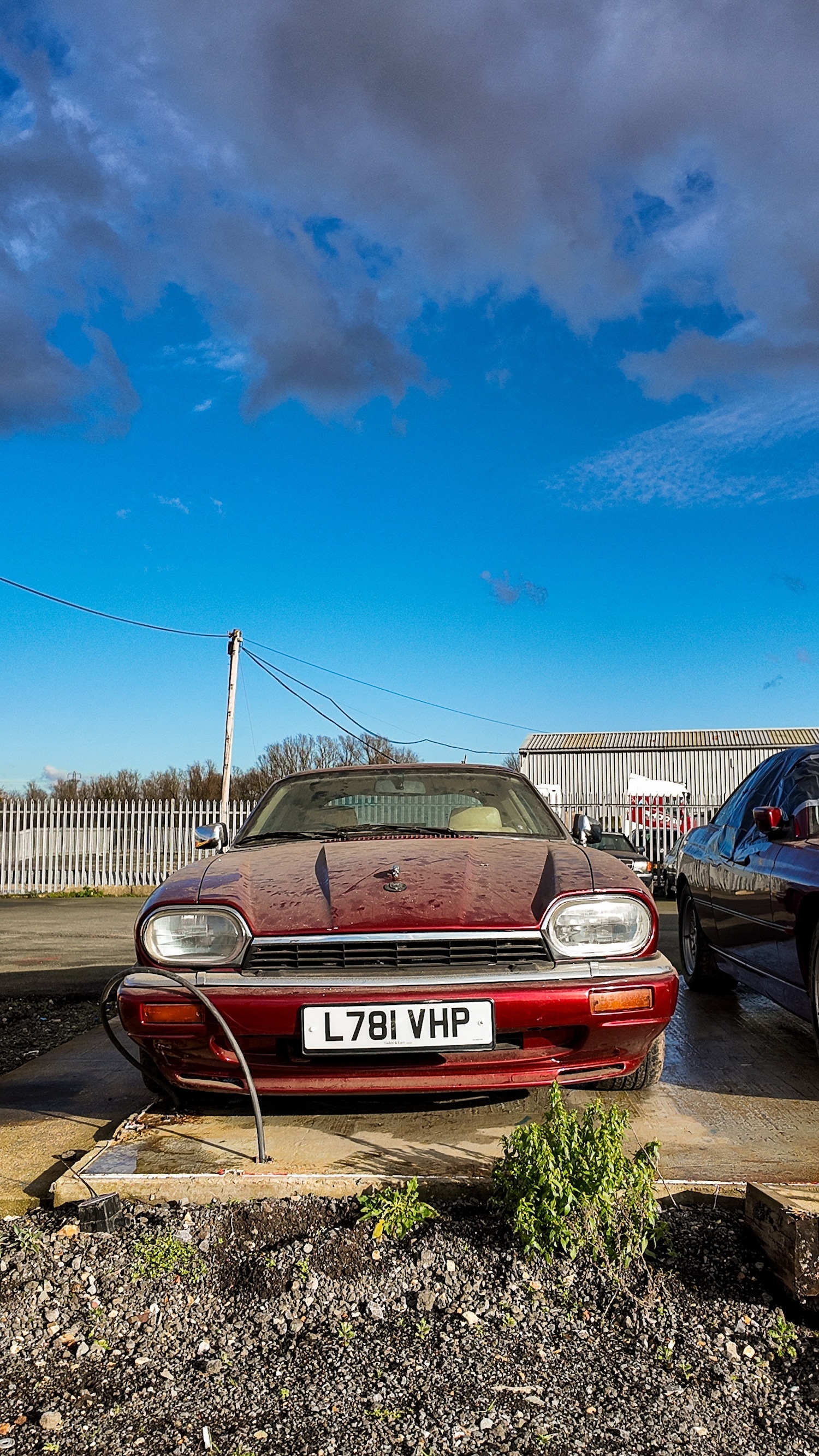 Used Jaguar XJS 1994 for sale - 77579769: Photo 22