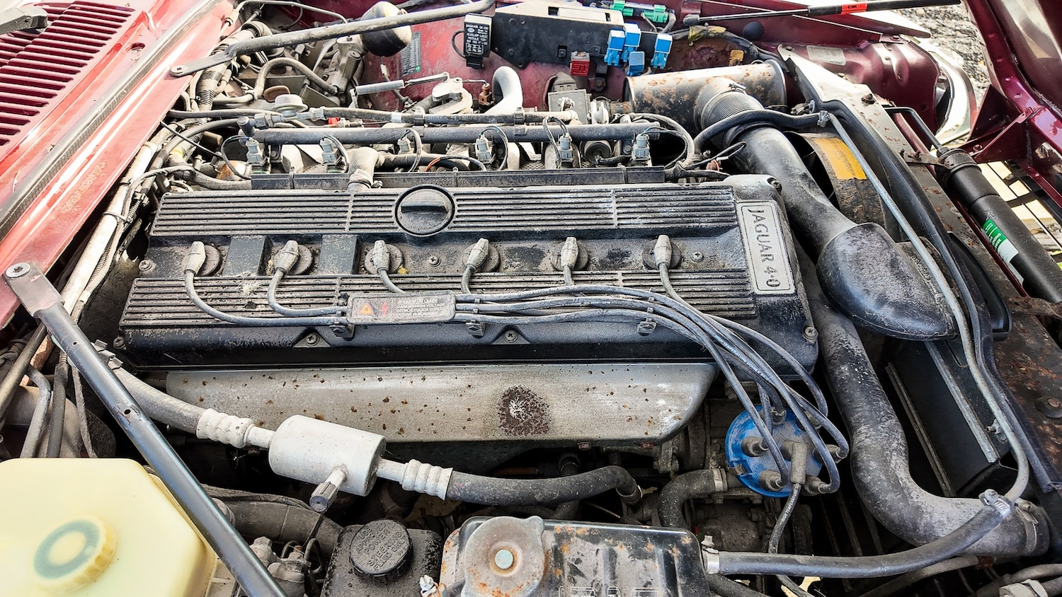 Used Jaguar XJS 1994 for sale - 77579769: Photo 33