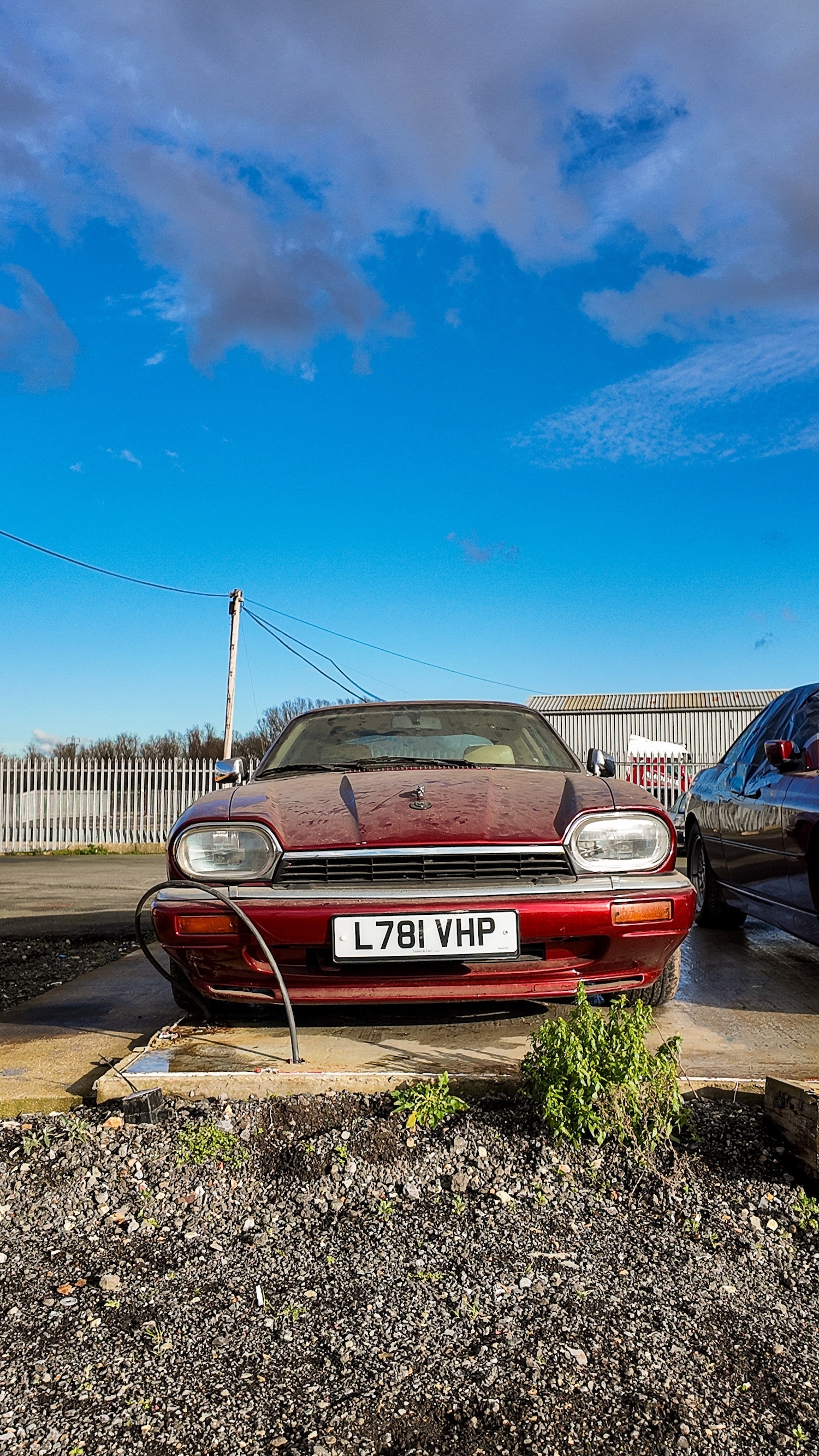 Used Jaguar XJS 1994 for sale - 77579769: Photo 42
