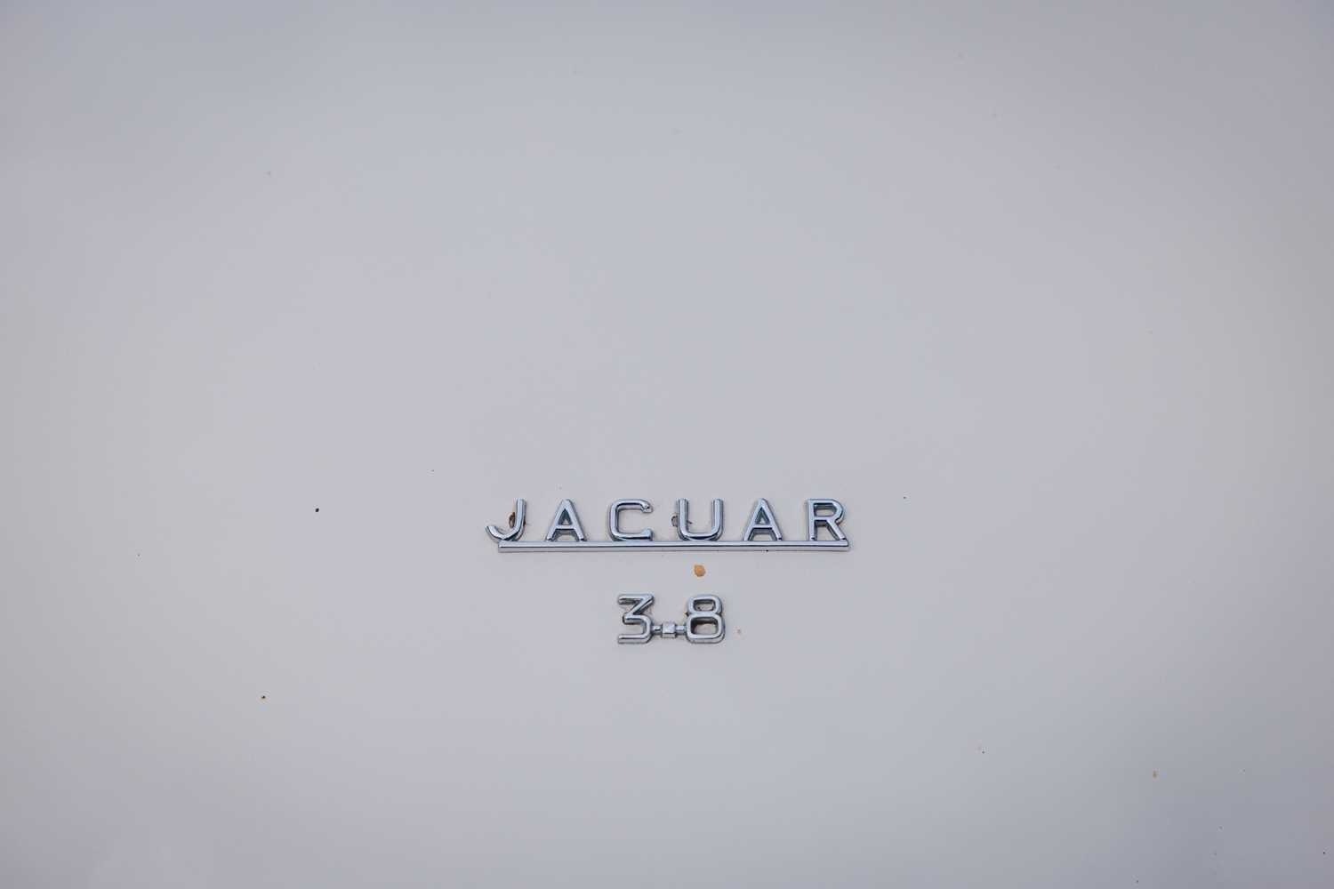 Vehicle 33