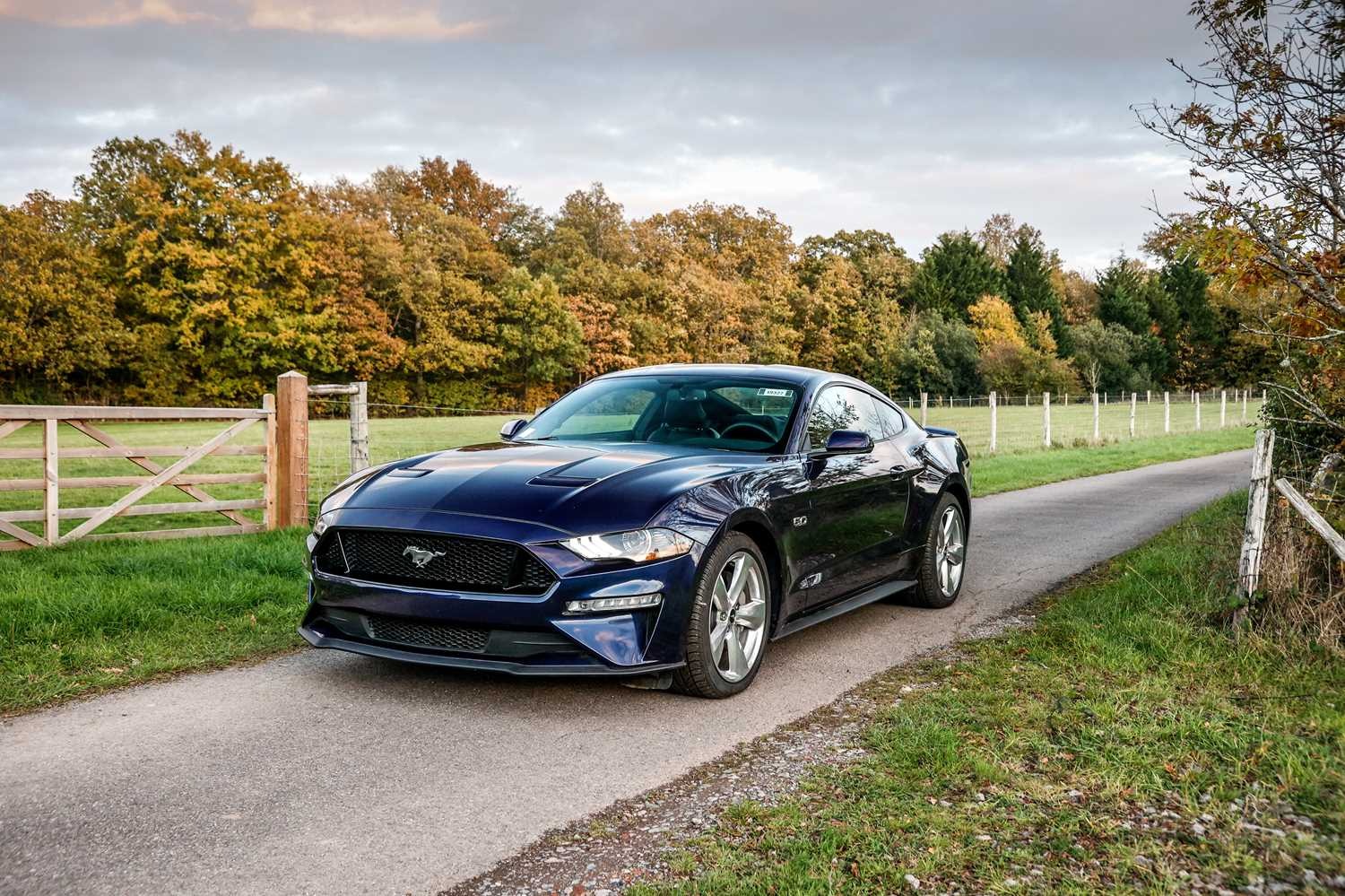Used Ford Mustang 2018 for sale - 76544404: Photo 12