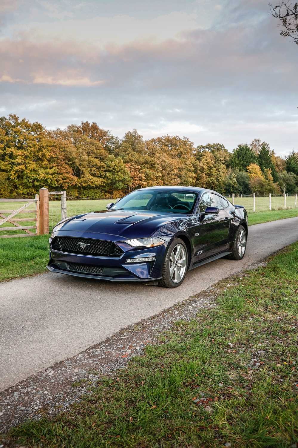 Used Ford Mustang 2018 for sale - 76544404: Photo 8