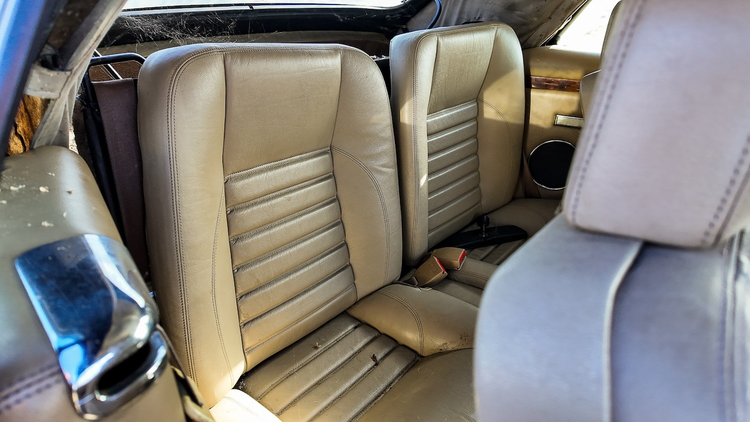 Used Jaguar XJS for sale - 77581419: Photo 15