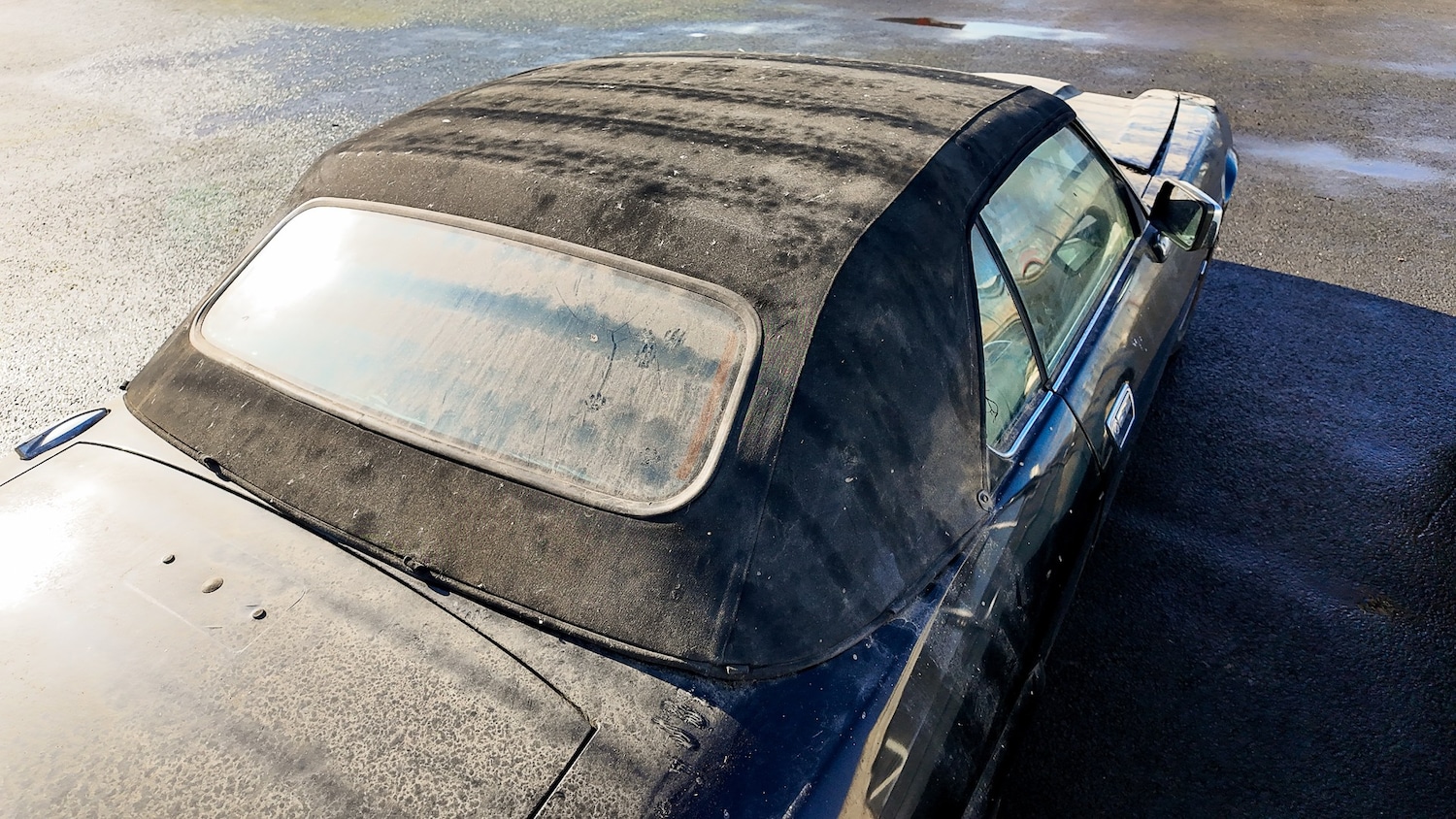 Used Jaguar XJS for sale - 77581419: Photo 18