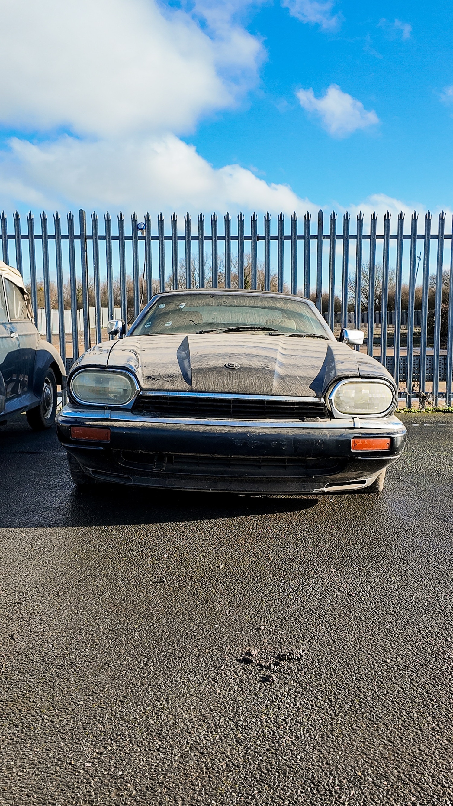 Used Jaguar XJS for sale - 77581419: Photo 22