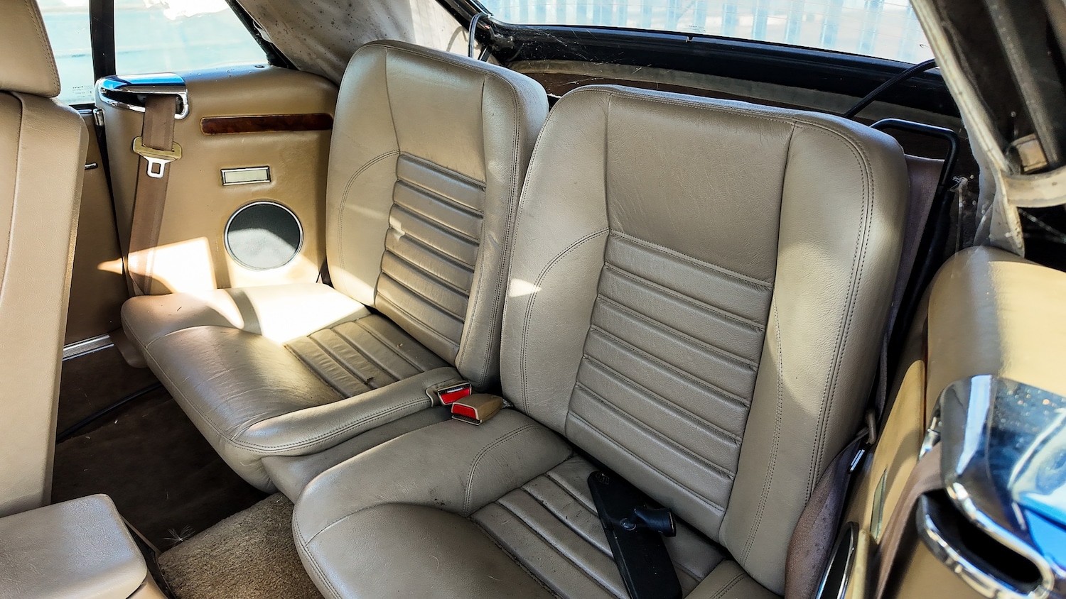 Used Jaguar XJS for sale - 77581419: Photo 32