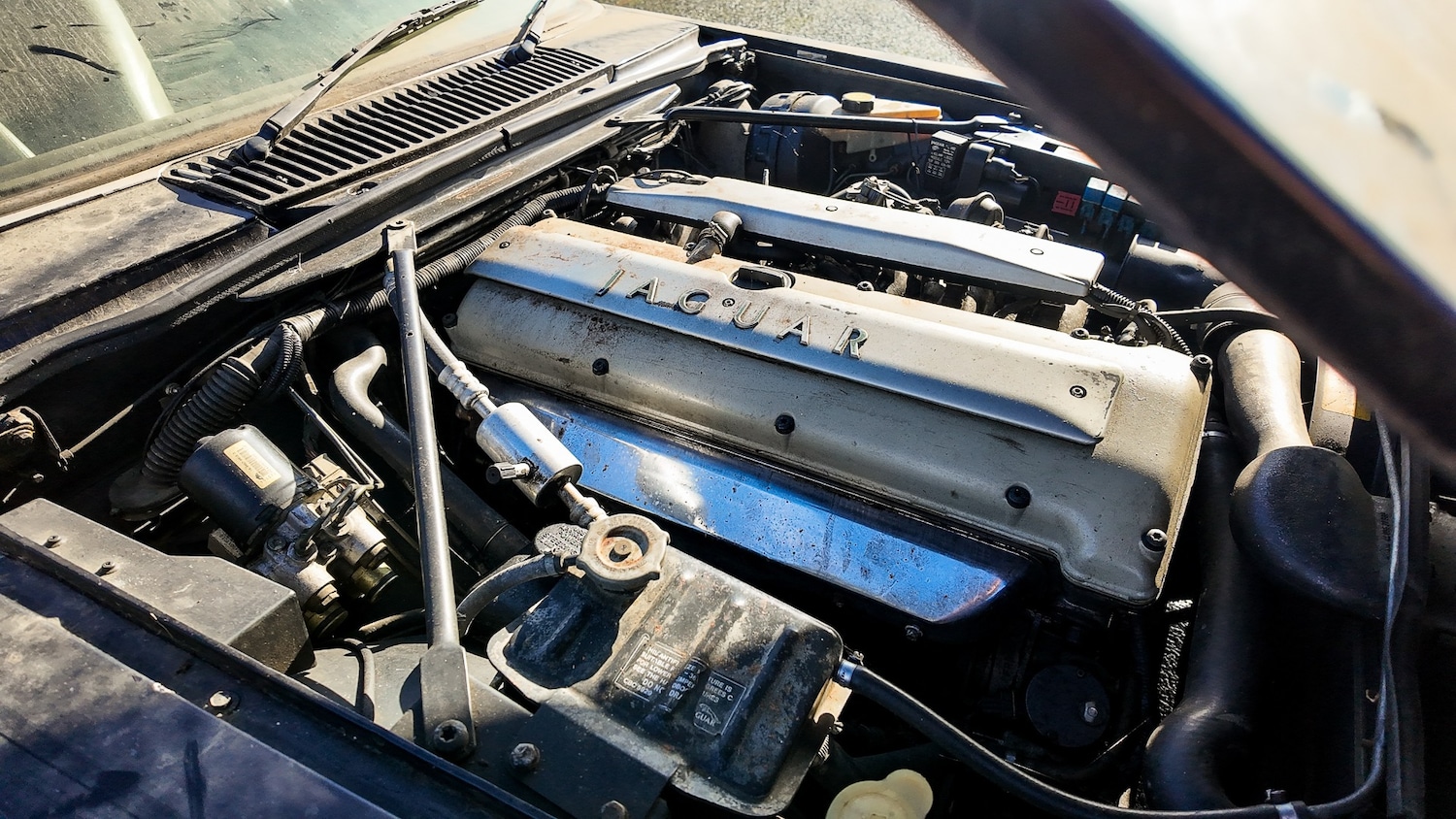 Used Jaguar XJS for sale - 77581419: Photo 4