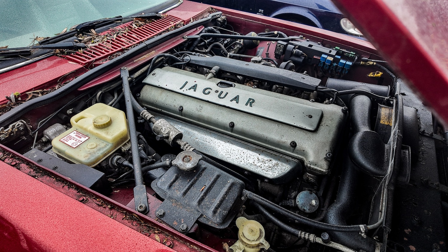 Used Jaguar XJS 1995 for sale - 77603452: Photo 13