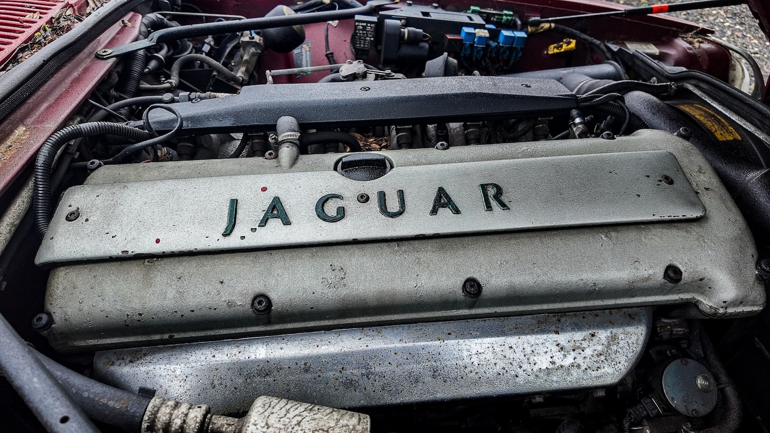 Used Jaguar XJS 1995 for sale - 77603452: Photo 16