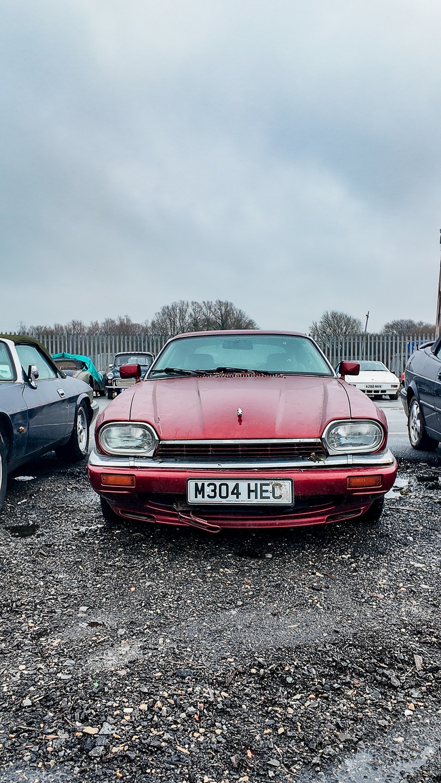 Used Jaguar XJS 1995 for sale - 77603452: Photo 18