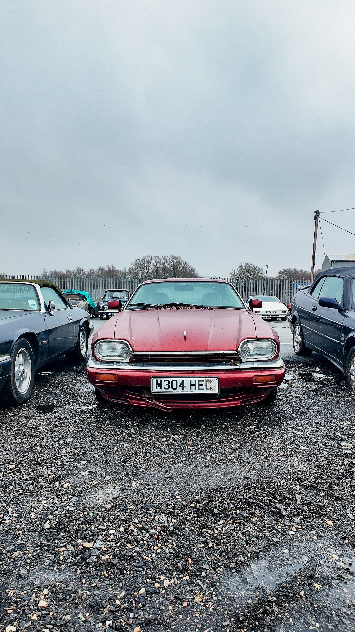 Used Jaguar XJS 1995 for sale - 77603452: Photo 19