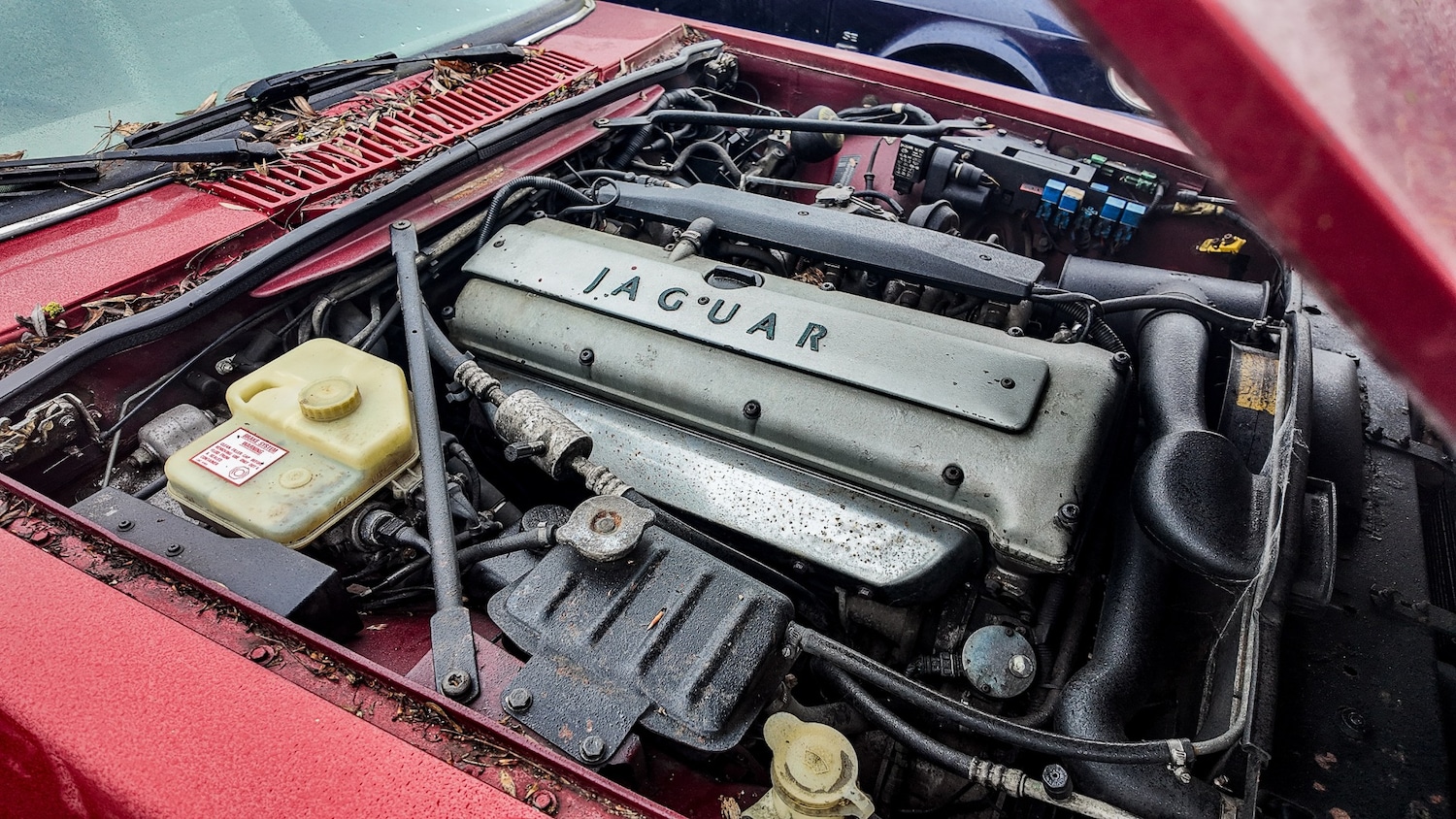 Used Jaguar XJS 1995 for sale - 77603452: Photo 23