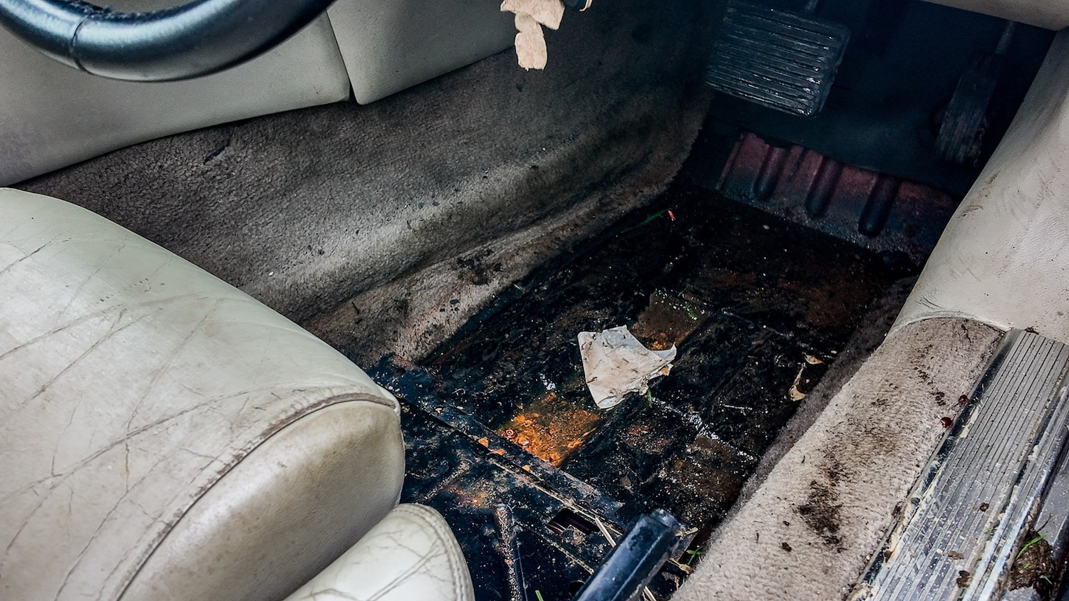 Used Jaguar XJS 1995 for sale - 77603452: Photo 25