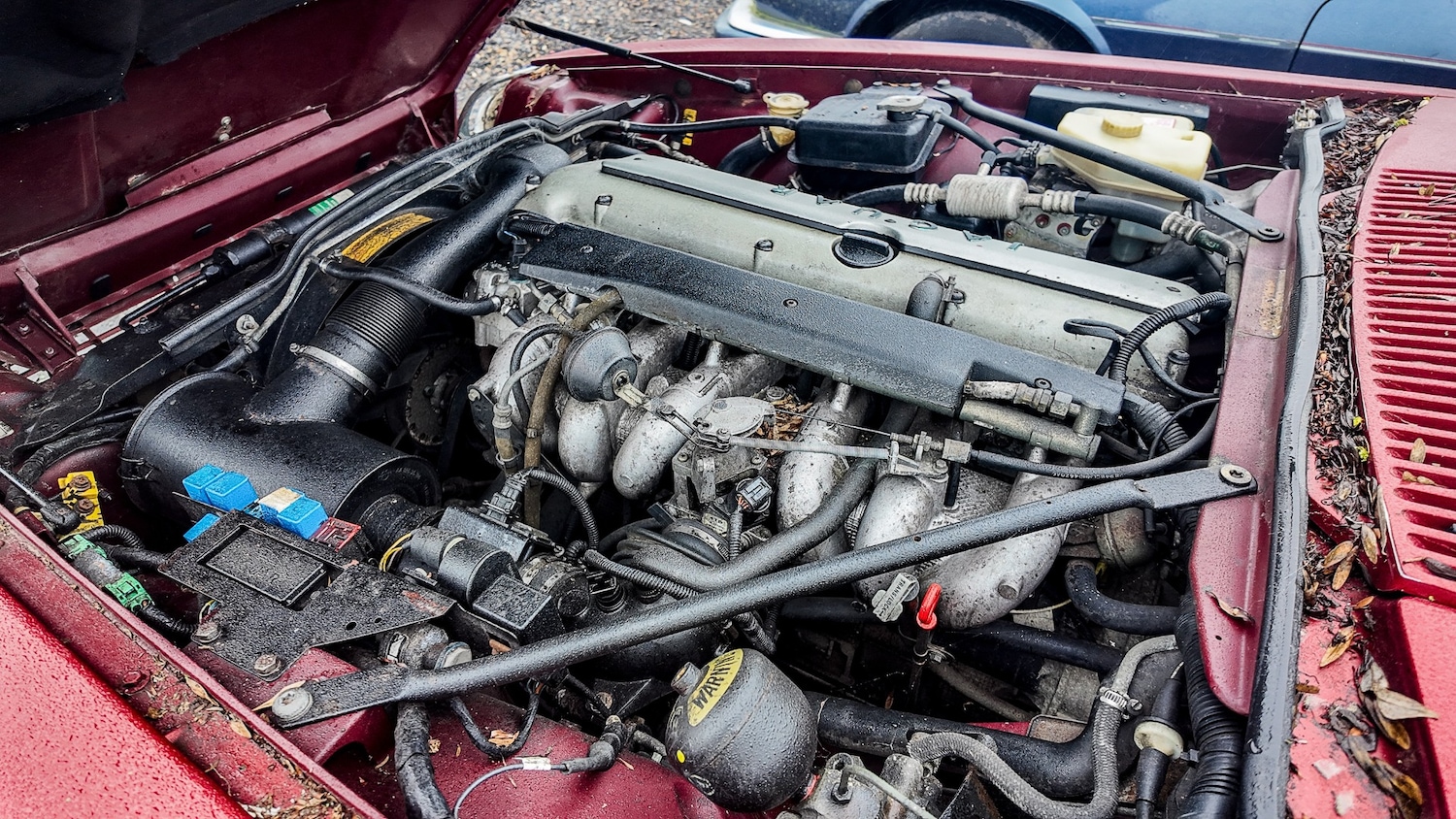 Used Jaguar XJS 1995 for sale - 77603452: Photo 26