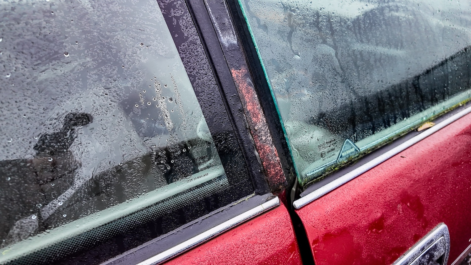 Used Jaguar XJS 1995 for sale - 77603452: Photo 33