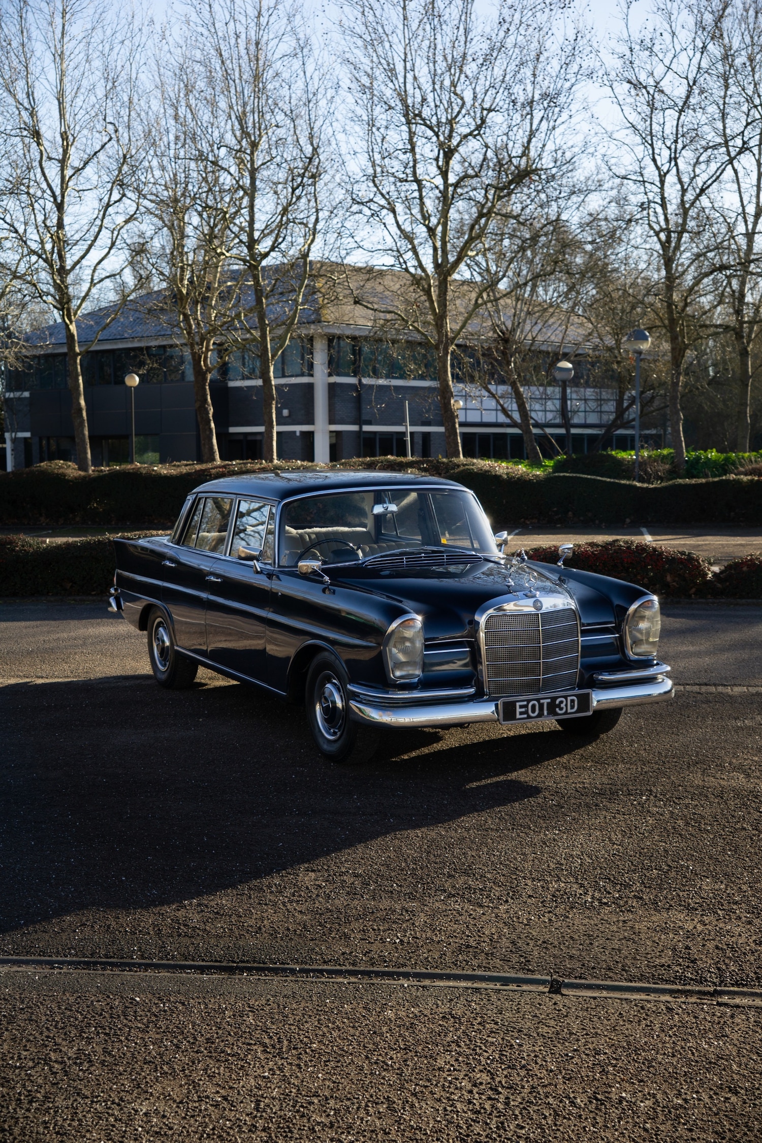 Used Mercedes-Benz 220 1966 for sale - 77431432: Photo 13