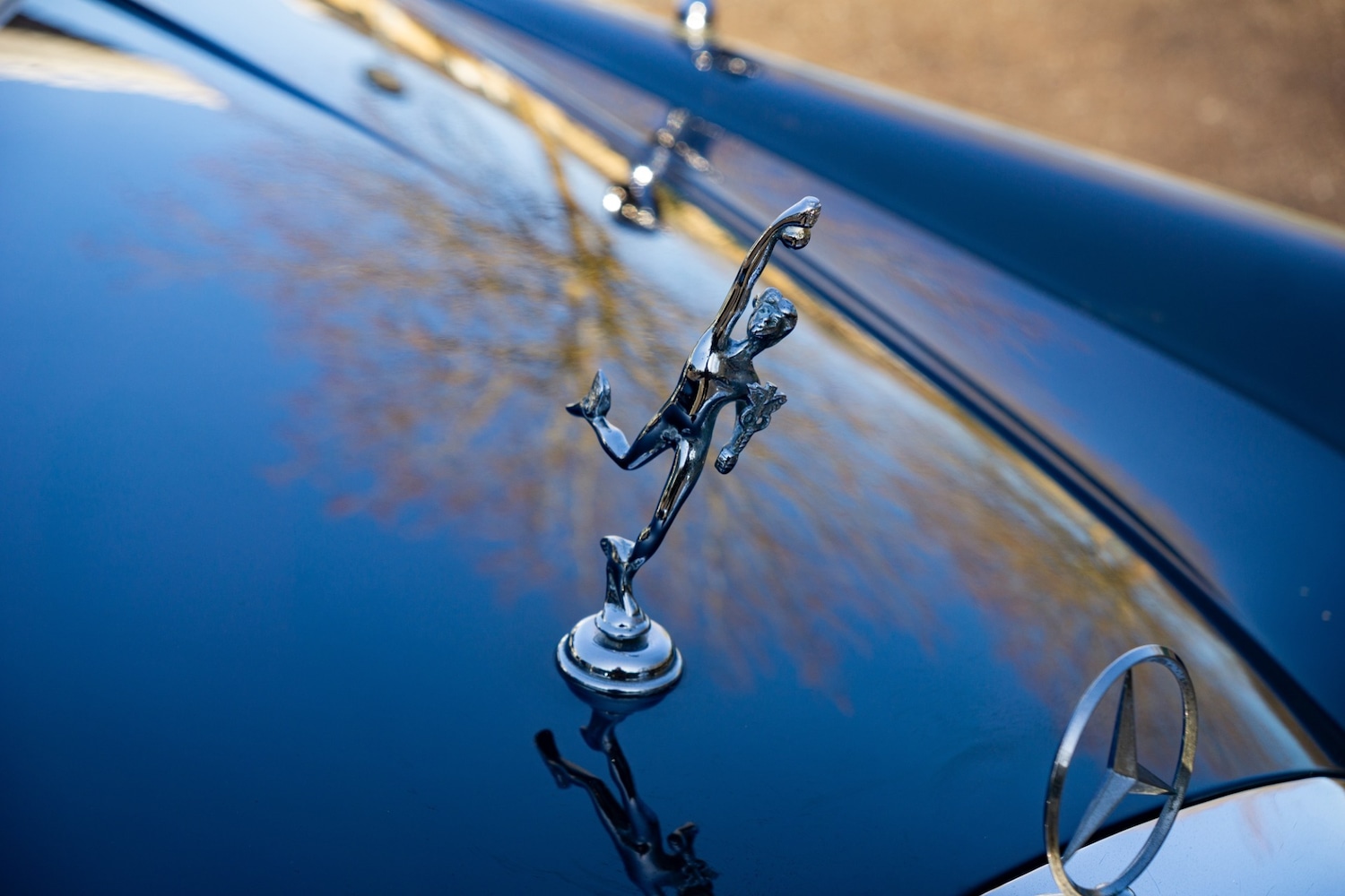 Used Mercedes-Benz 220 1966 for sale - 77431432: Photo 19