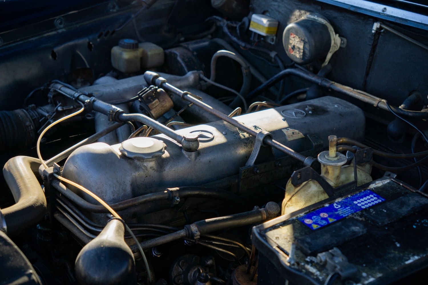 Used Mercedes-Benz 220 1966 for sale - 77431432: Photo 28