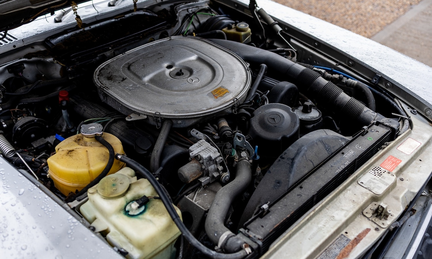 Used Mercedes-Benz 560 1987 for sale - 77445733: Photo 5