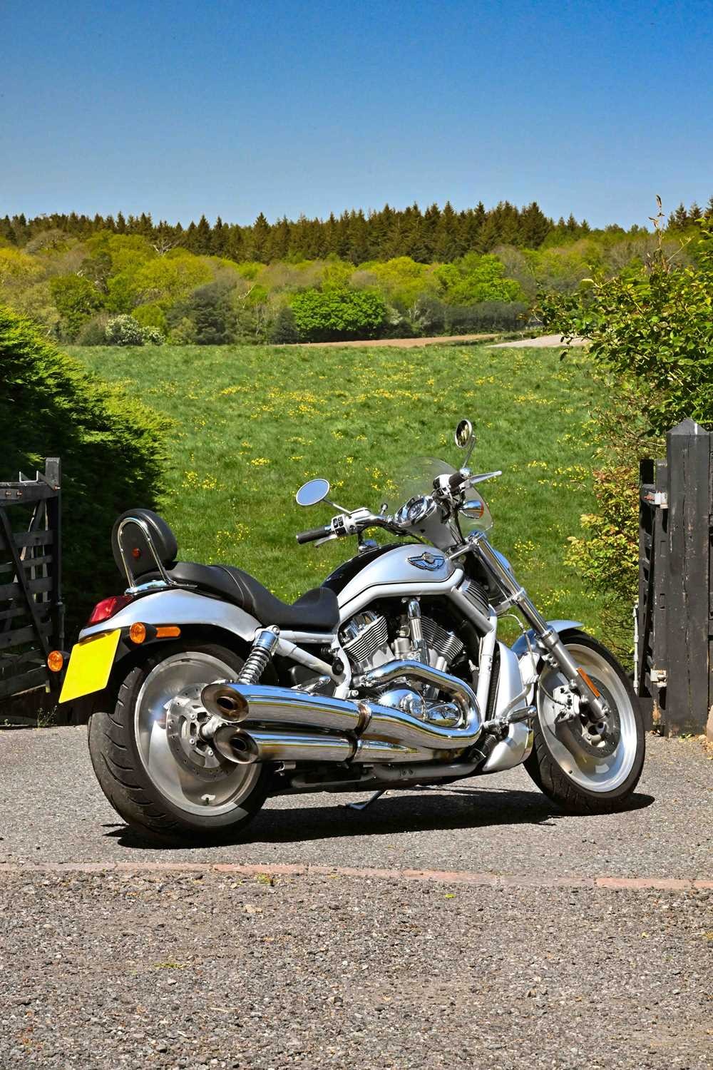 Used Harley-Davidson V-ROD 2003 for sale - 78411623: Photo 11