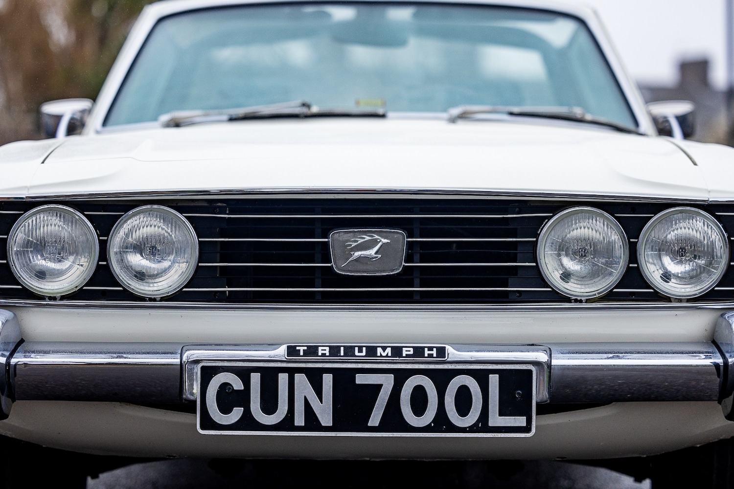 Used Triumph Stag 1973 for sale - 77528813: Photo 23