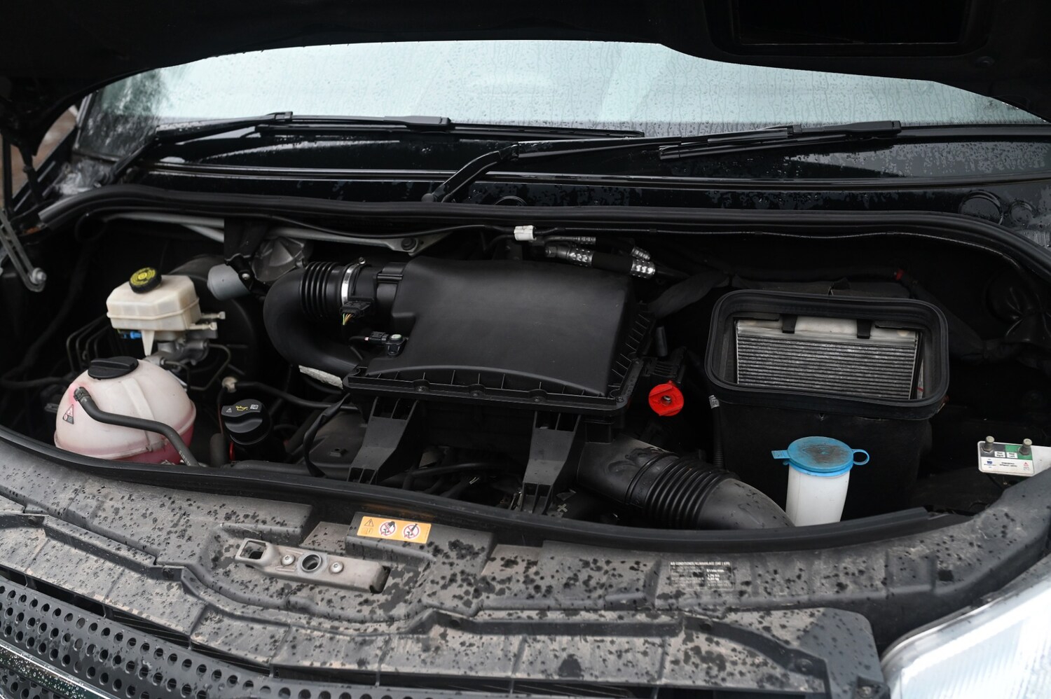 Used Mercedes-Benz Sprinter 2025 for sale - 77459728: Photo 14