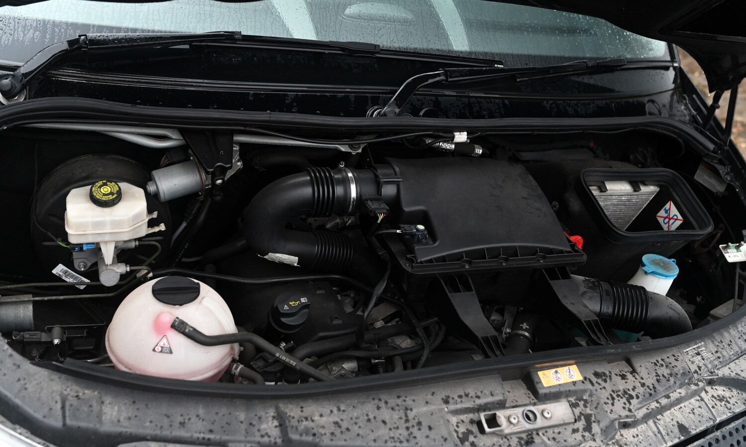 Used Mercedes-Benz Sprinter 2025 for sale - 77459728: Photo 5