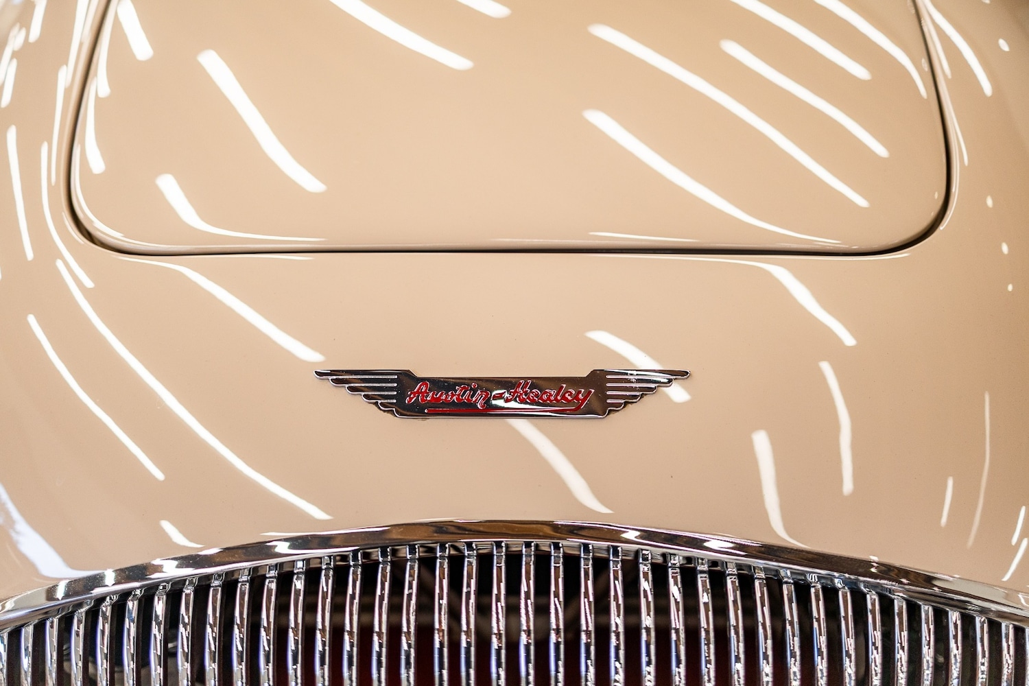 Used Austin 100 1954 for sale - 77579290: Photo 12