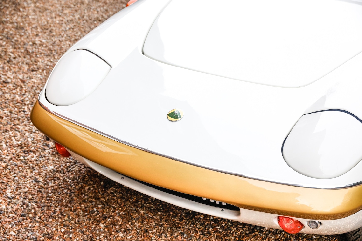 Used Lotus Elan 1973 for sale - 77445724: Photo 11