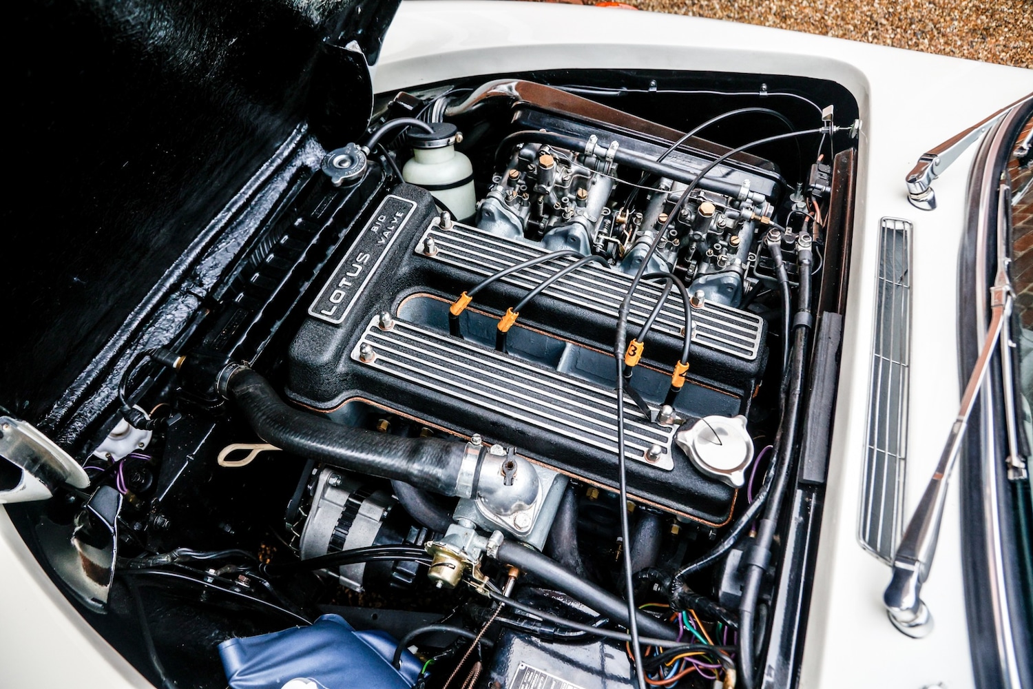 Used Lotus Elan 1973 for sale - 77445724: Photo 14