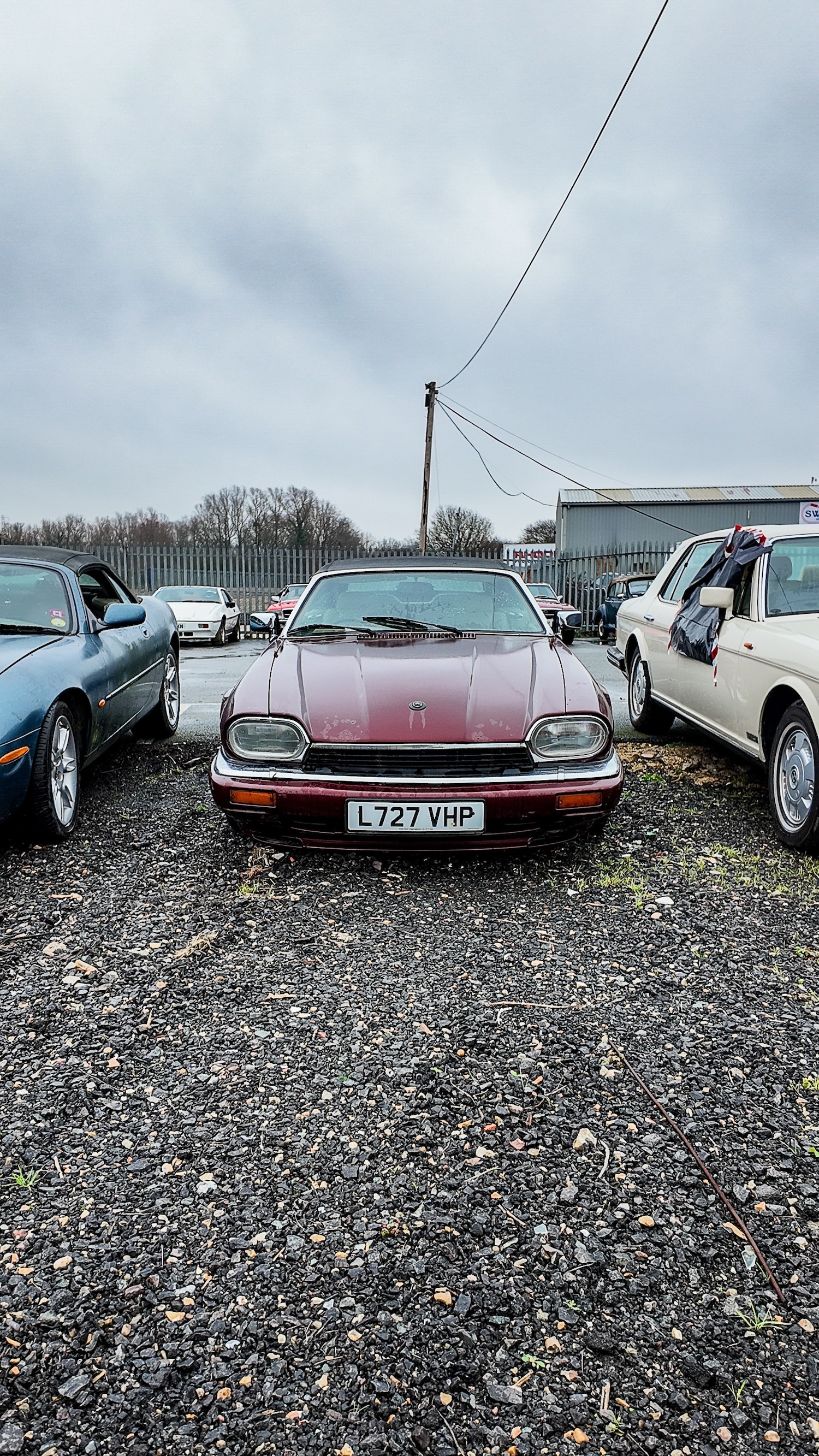 Used Jaguar XJS 1994 for sale - 77603325: Photo 15